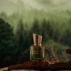Donec ultrices tincidunt arcu non sodales